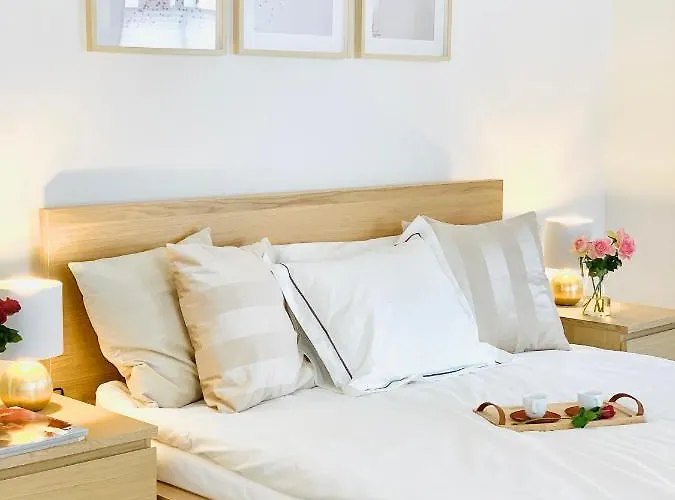 Apartament W Centrum Miasta Z Darmowym Parkingiem Dla Dwojga -Apartamenty Pod Zlotym Lwem